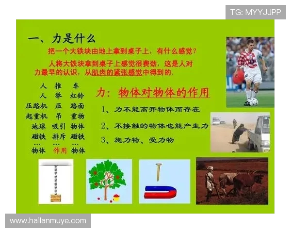 全面解析体育运动对身心健康的积极影响及其在现代社会中的重要作用