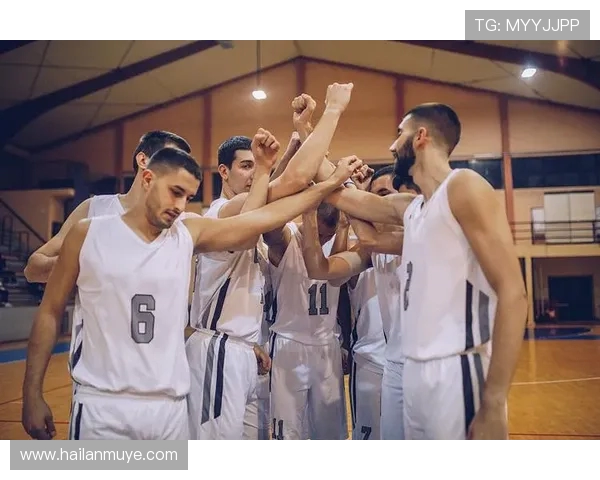 以篮球为核心探讨团队协作精神与青春奋斗力量的完美融合