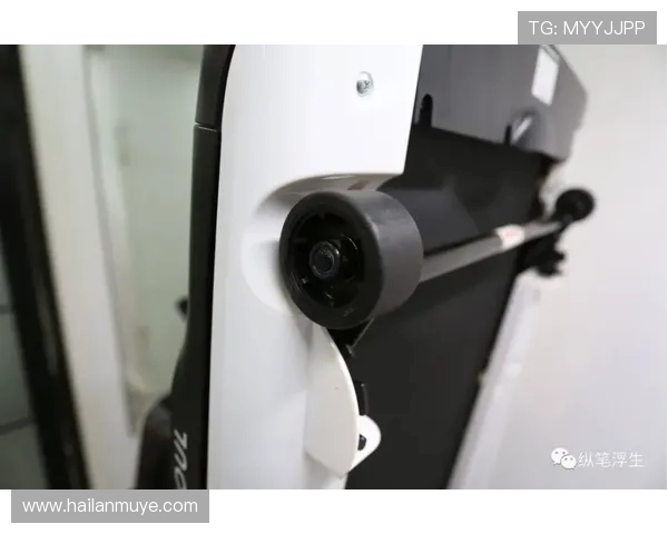 乒乓球点燃全民运动热潮的新时代多维度发展前景探索趋势研究新篇