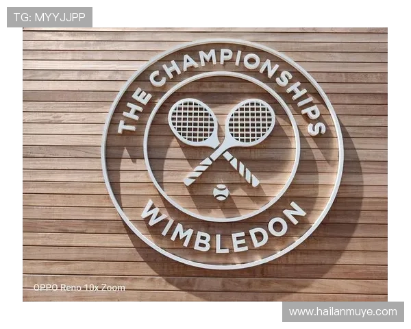 网球运动发展史与技术革新分析：从草地到硬地的全球化演变