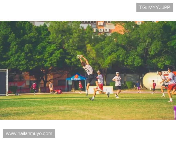 成都飞盘队团队协作再创佳绩引领飞盘运动新风潮