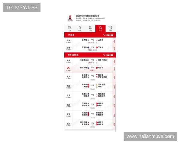 杭州羽毛球队在世界杯积分榜上以82分稳居第一展现强劲实力