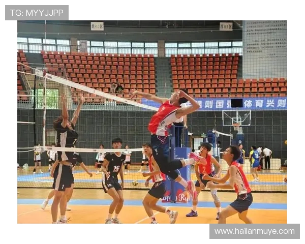 重庆排球队的战术创新与运营体系探析及其对整体竞技水平的提升