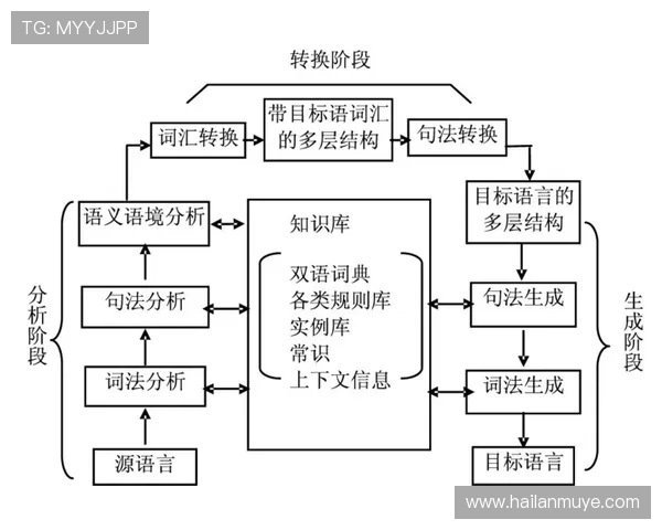 重庆飞盘队边路渗透战术分析及其对比赛结果的影响探讨