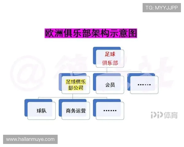 重庆足球队实力对比深度解析与未来发展趋势探讨