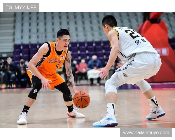 刘铮的奋斗历程与篮球梦想如何在职业生涯中交织成辉煌篇章